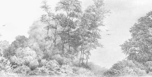 Background trees in Weimaraner study 'Vanished!'