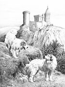 Pyrenean Mountain Dog (Great Pyrenees) fine art dog print by Mike Sibley