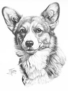 Corgi fine art dog print by Mike Sibley