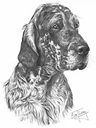 English Setter fine art dog print by Mike Sibley