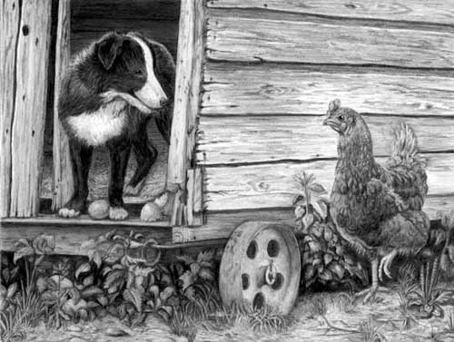 'The Hennhouse Raider' - pencil drawing by Mary