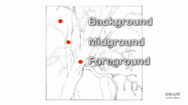Drawing an old dark forest using negative drawing to work background to foreground
