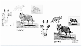 An exercise to help with understanding the differemvces between high- and low-key lighting