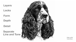 Discover the best techniques for drawing realistic hair