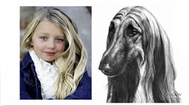 Animal and human hair share the same drawing techniques