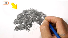 negative-drawing demonstration when drawing a tree in graphite pencil
