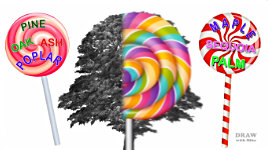 The Lollipop Recognition System