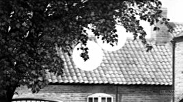 The importance of edge detail when drawing trees