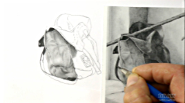 Step-by-step explanation during the demonstration