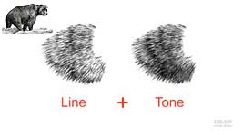 Dividing Line and Tone in Layers in a pencil drawing