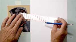 The card ruler combines measurement and drawing by eye, to create a set of drawing guidelines.