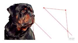 Triangulation can be used for really accurate results to create pencil drawing guidelines.