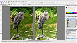 The benefits of working with two reference photos