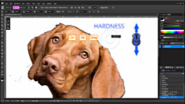 Quickly setting the size and hardness of a brush as you work