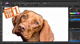 FOUR useful TOP TIPS...