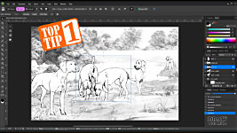 TWO useful TOP TIPS...