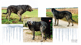 Sourcing and using photographs, sketches, and downloaded images to compose artwork