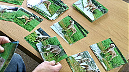 Forming your drawing's story