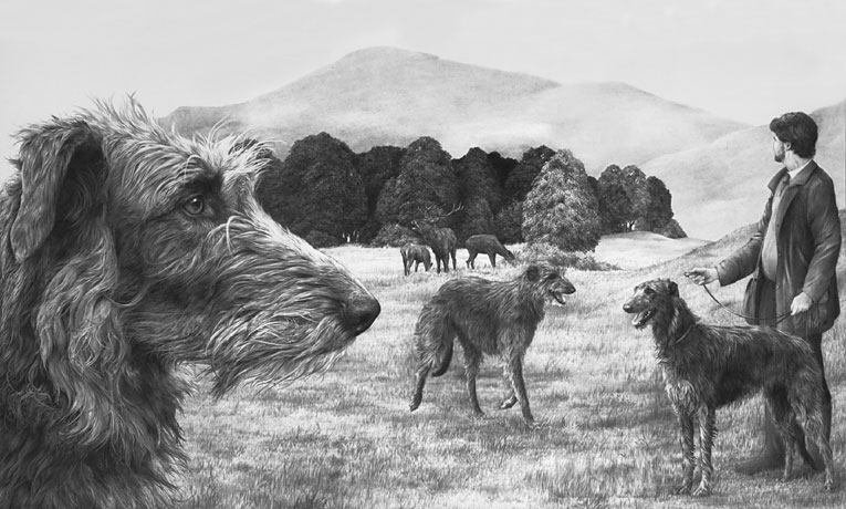 'Scottish Deerhounds' Scottish Deerhound graphite pencil drawing by Mike Sibley