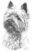 Cairn Terrier fine art print