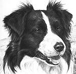 Dog's ear negative drawing example