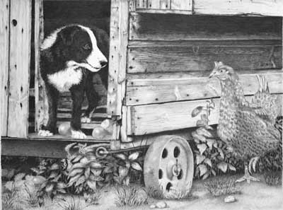 Grahame's completed Border Collie Pup and Hen graphite pencil drawing