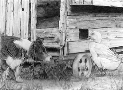 Mark's Border Collie and Duck graphite pencil drawing