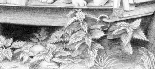 foliage and weeds detail
