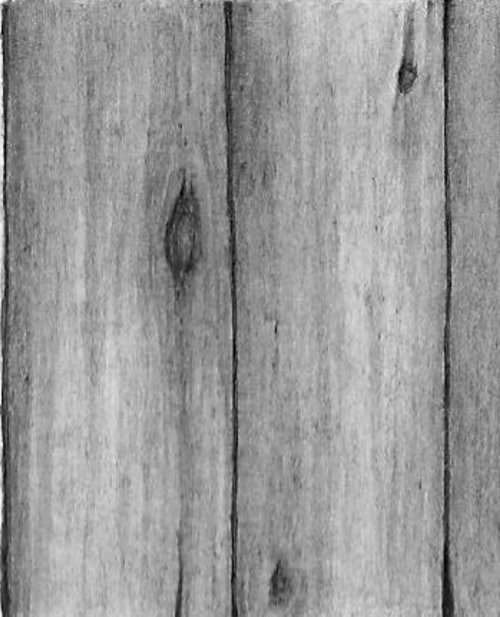 Mid to Light values: Wood grain layered with 2H pencil