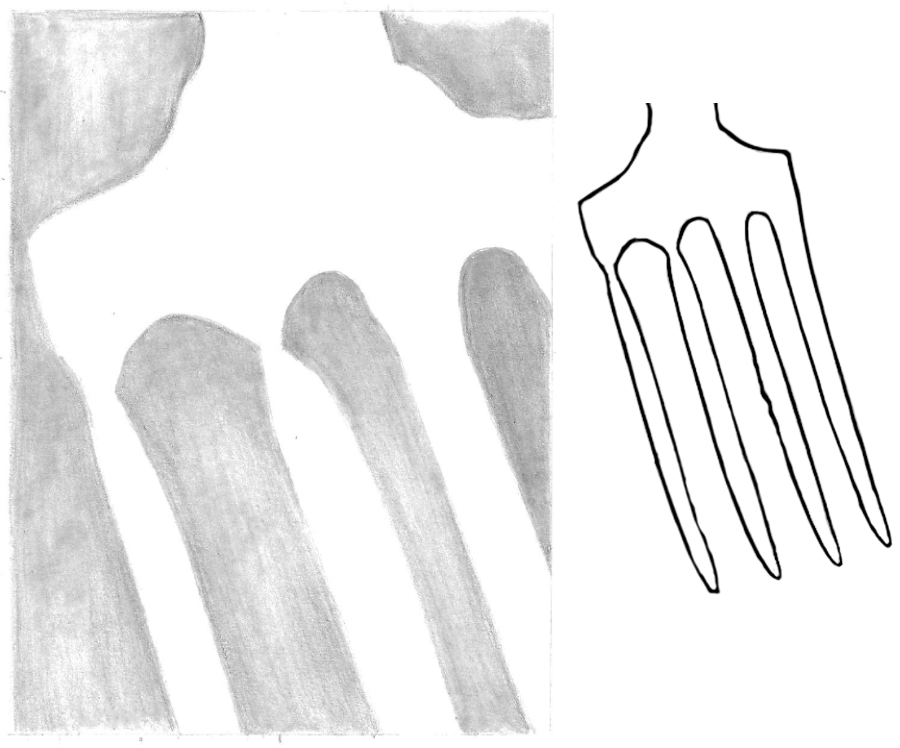 drawing correct shapes between the tines of a handfork - negative space exercise