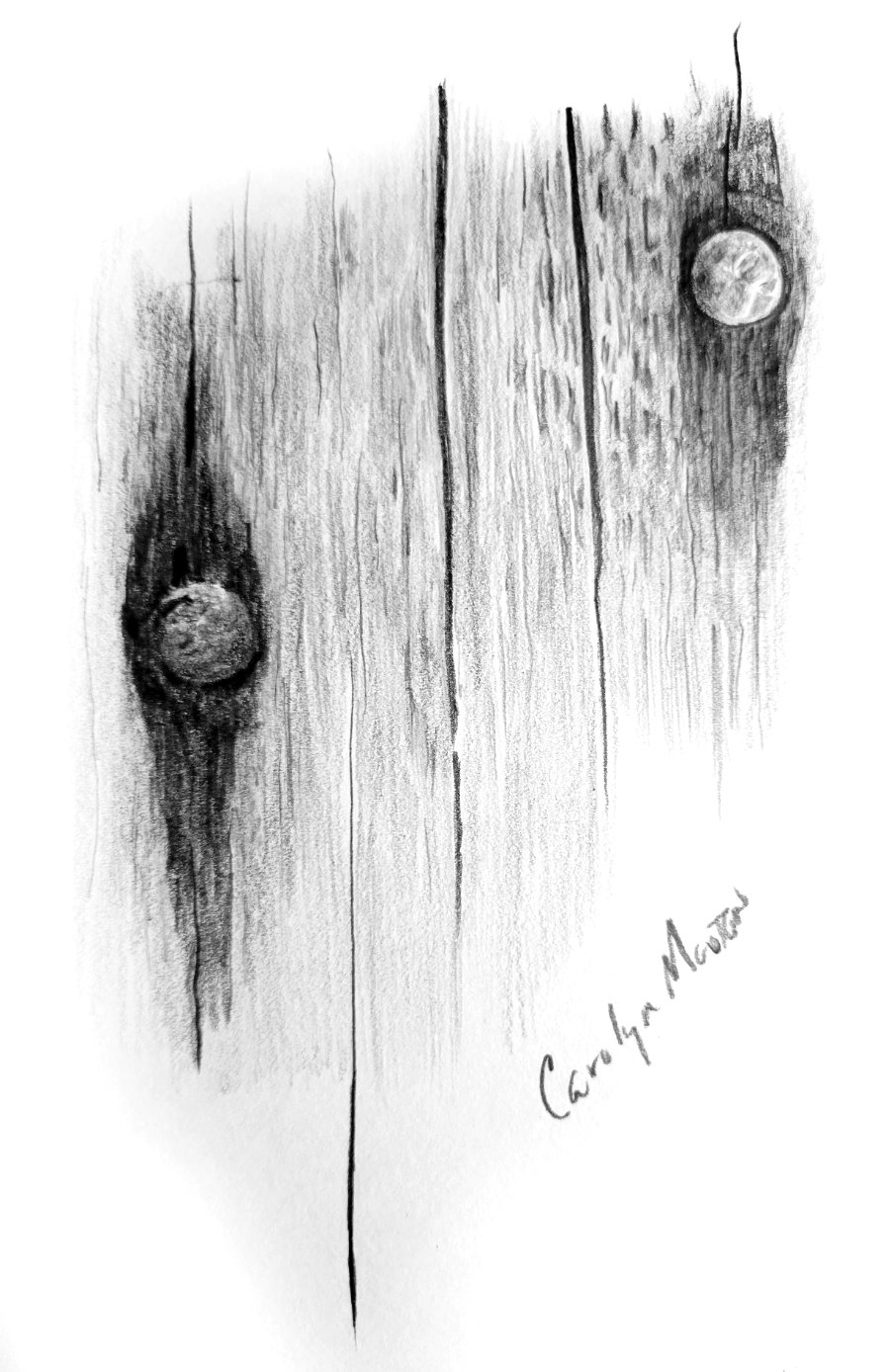 Nails driven into an old wooden door in a pencil drawing
