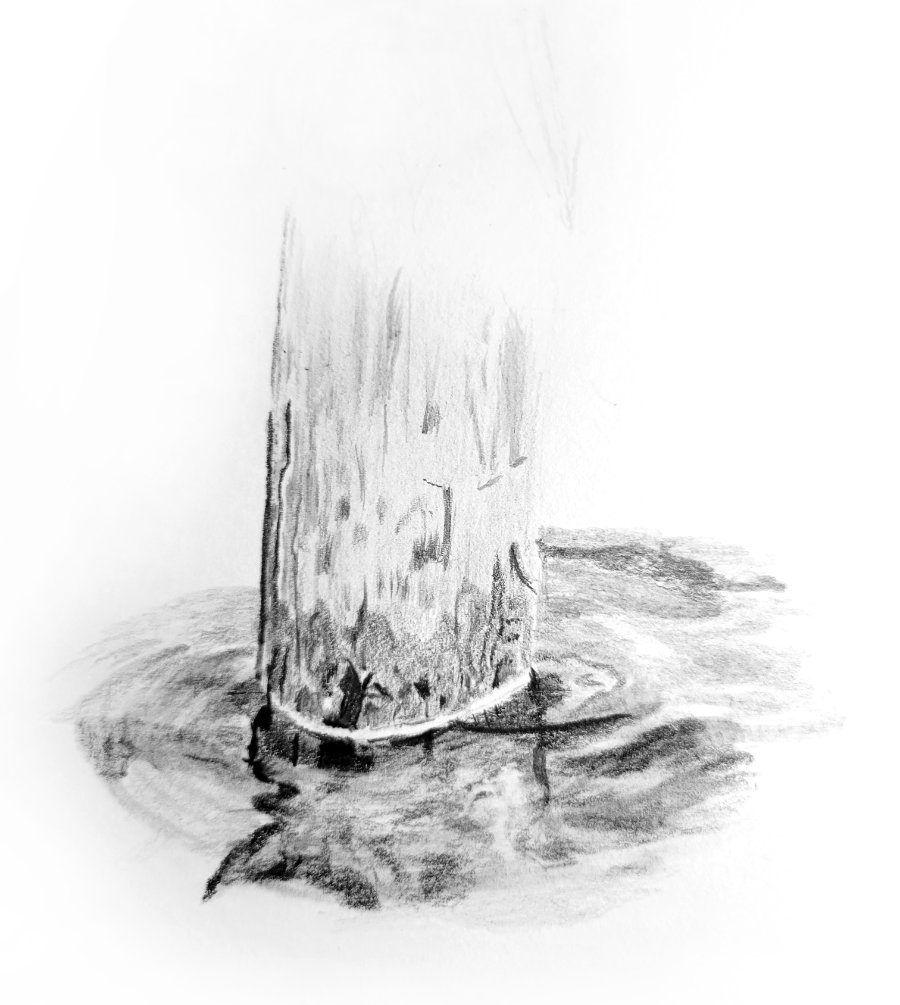 Wooden post or pile standing in water in a pencil drawing