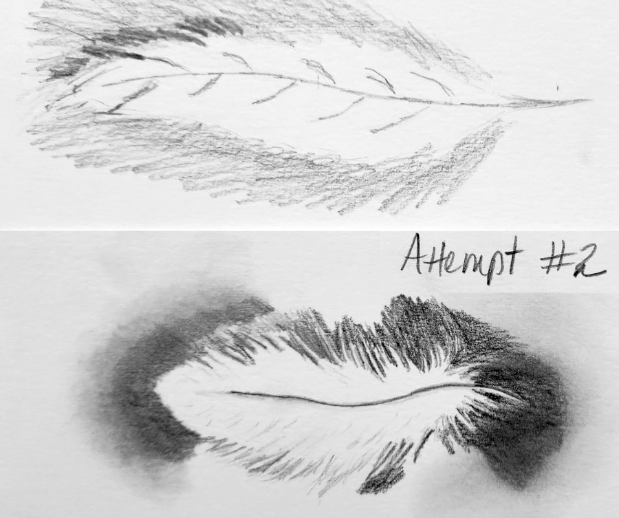 draw a feather